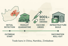 South Africa Ramps Up Vaccinations as Foot-and‑Mouth Disease Spreads Across Provinces Foot-and-mouth Disease